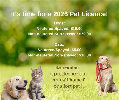 2026_Pet_License
